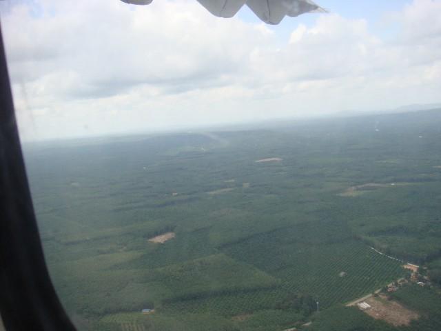 DSC03599.JPG1.jpg